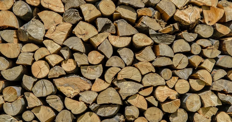 Quelles protections tiennent, et pour quel arbre