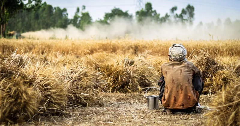 Urbanisme, servitudes et terrain agricole : le vrai casse-tête