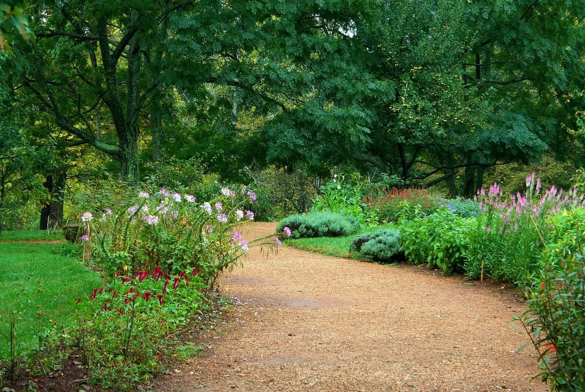 Jardin méditerranéen gravier : comment l'utiliser sans le subir