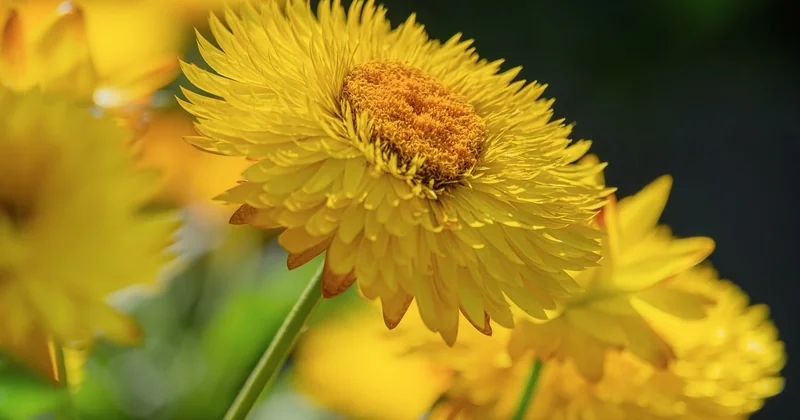 L'impact de la lumière naturelle : le facteur clé que tout le monde oublie